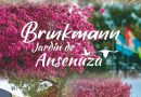 ¿Qué hacemos el finde? Agenda de actividades en Brinkmann y zona