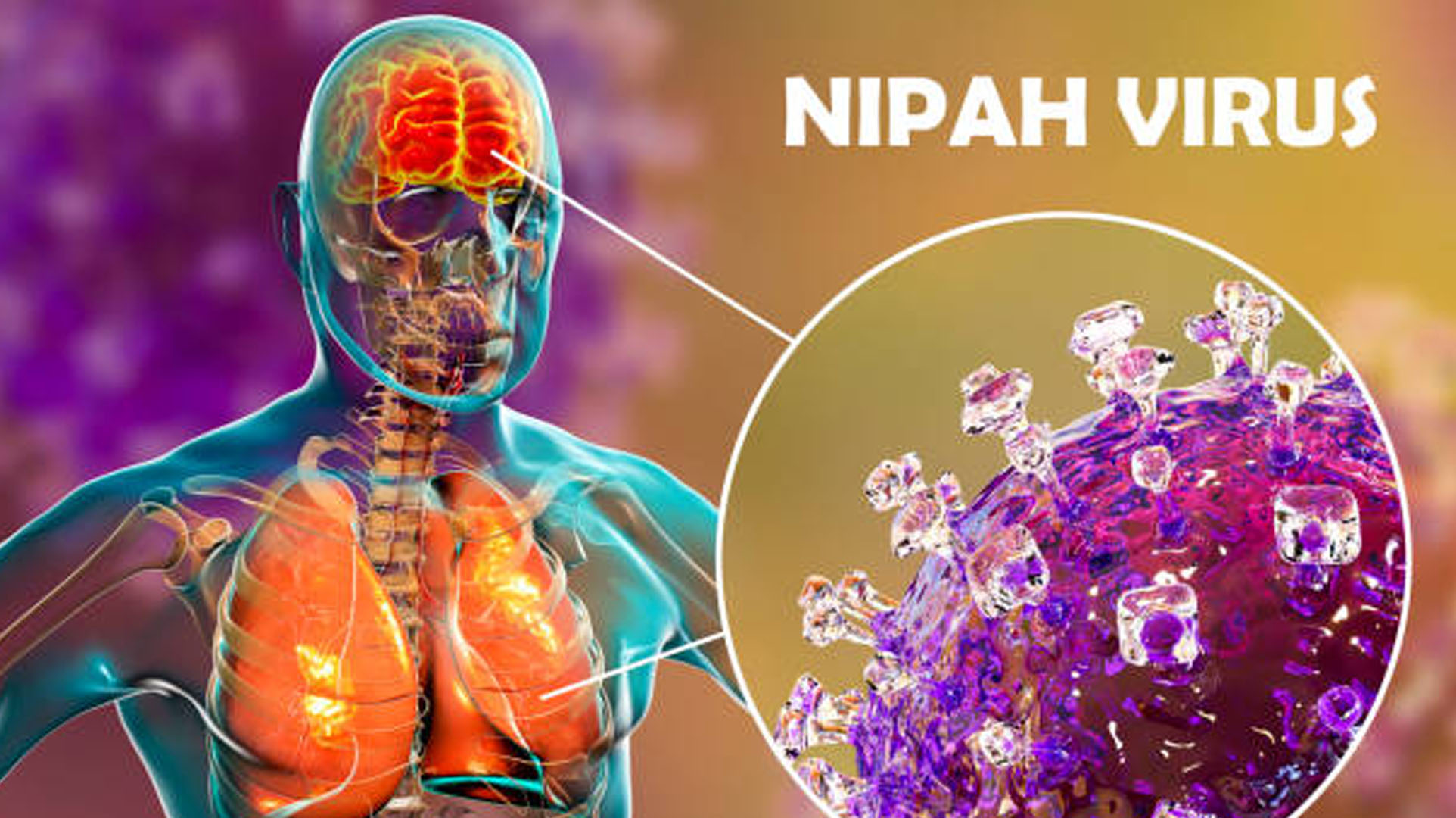 NIPAH VIRUS – There’s an outbreak in India. Can it attain Argentina? – La Radio 102.9