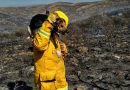 El PJ de Brinkmann recolecta donaciones para personas y animales víctimas del fuego