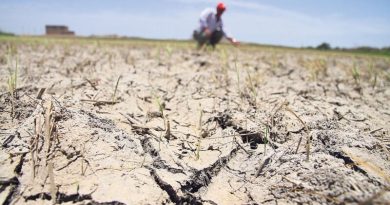 Según estudio de INTA, el déficit de lluvias en Brinkmann equivale a un año y medio sin precipitaciones