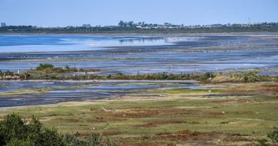 Detectan 22 especies vulnerables y en peligro en la Laguna de Mar Chiquita